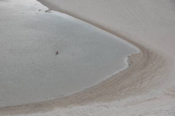Refrescando-se na lagoa da Duna do Funil, em Tatajuba - CE